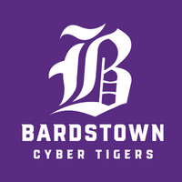 Cyber Tigers Logo